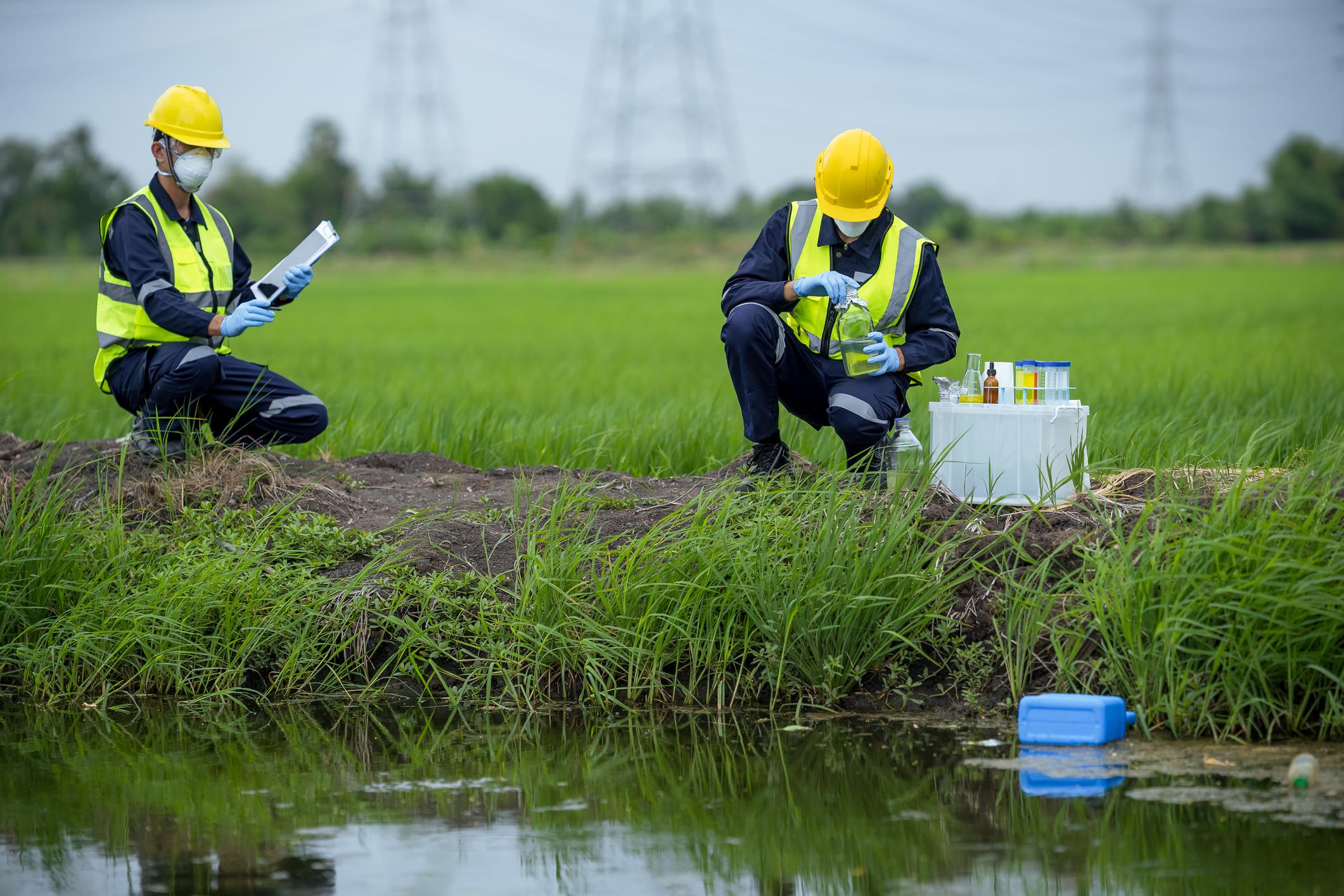 Two Strata employees working in the field.